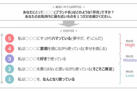 熱狂的推奨者実態調査