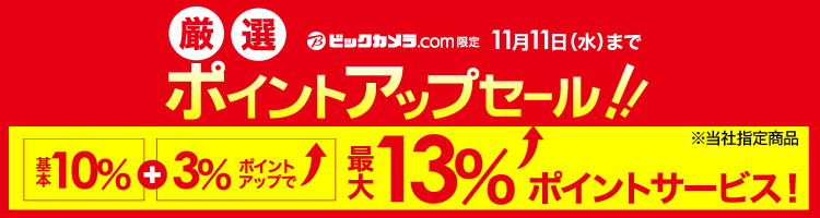 ビックカメラ割引キャンペーン・スペシャルクーポン【公式お買い得SALE】