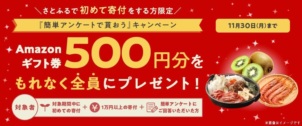 さとふるキャンペーンコード500円ギフト券クーポンプレゼント