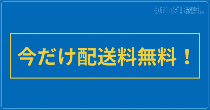 NEW PORT(ニューポート)【今だけ対象店舗の配送料無料】うまいぞ!横浜キャンペーン