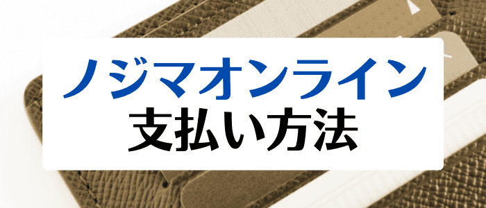 ノジマオンライン(nojima)クーポン・キャンペーン情報まとめ【利用可能な支払い方法一覧】