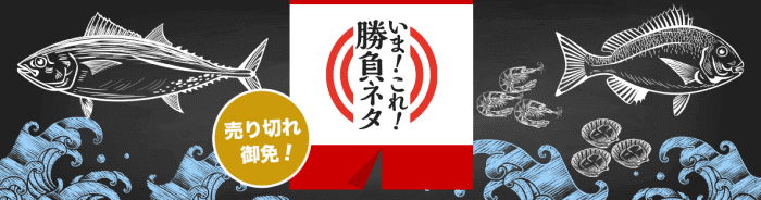 銀のさらのクーポン・キャンペーン【売り切れ御免の勝負ネタ】常時開催