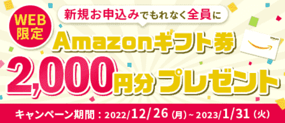 Amazonギフト券2000円分が新規申込でもらえるWeb限定キャンペーン