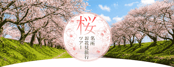 HIS(エイチ・アイ・エス)桜の名所へお花見旅行ツアー