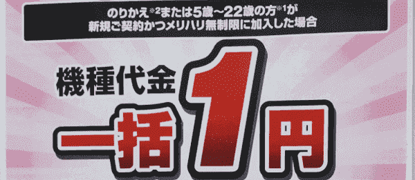 ヨドバシカメラの機種変更で機種代一括1円