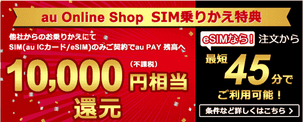 SIMの乗り換えで10000円相当還元
