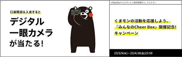 デジタル一眼カメラが当たる