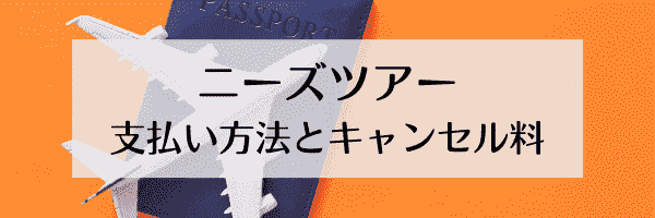 ニーズツアーのキャンセル料と利用可能な支払い方法