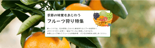 【旅っくす】旬のフルーツ狩りキャンペーン特集