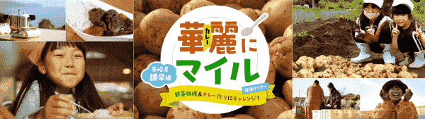 【JAL(日本航空)キャンペーン】マイルで行けるカレーライス日帰り体験ツアー