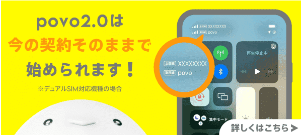 【JAL(日本航空)キャンペーン】povoデータボーナス20GBのプロモコードにマイル交換
