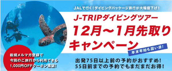 【J-TRIP(ジェイトリップ)】沖縄ダイビングパッケージ大幅値下げ【12月～1月先取りキャンペーン】