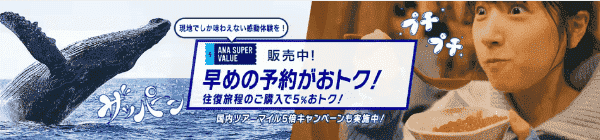 【ANAトラベラーズキャンペーン】5%お得になる往復旅の早期予約割引