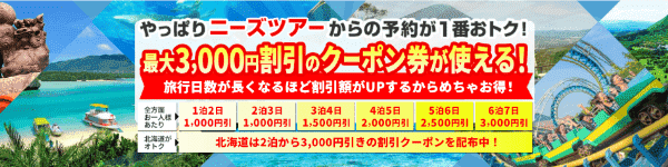 【ニーズツアー】最大3000円割引クーポンもらえる